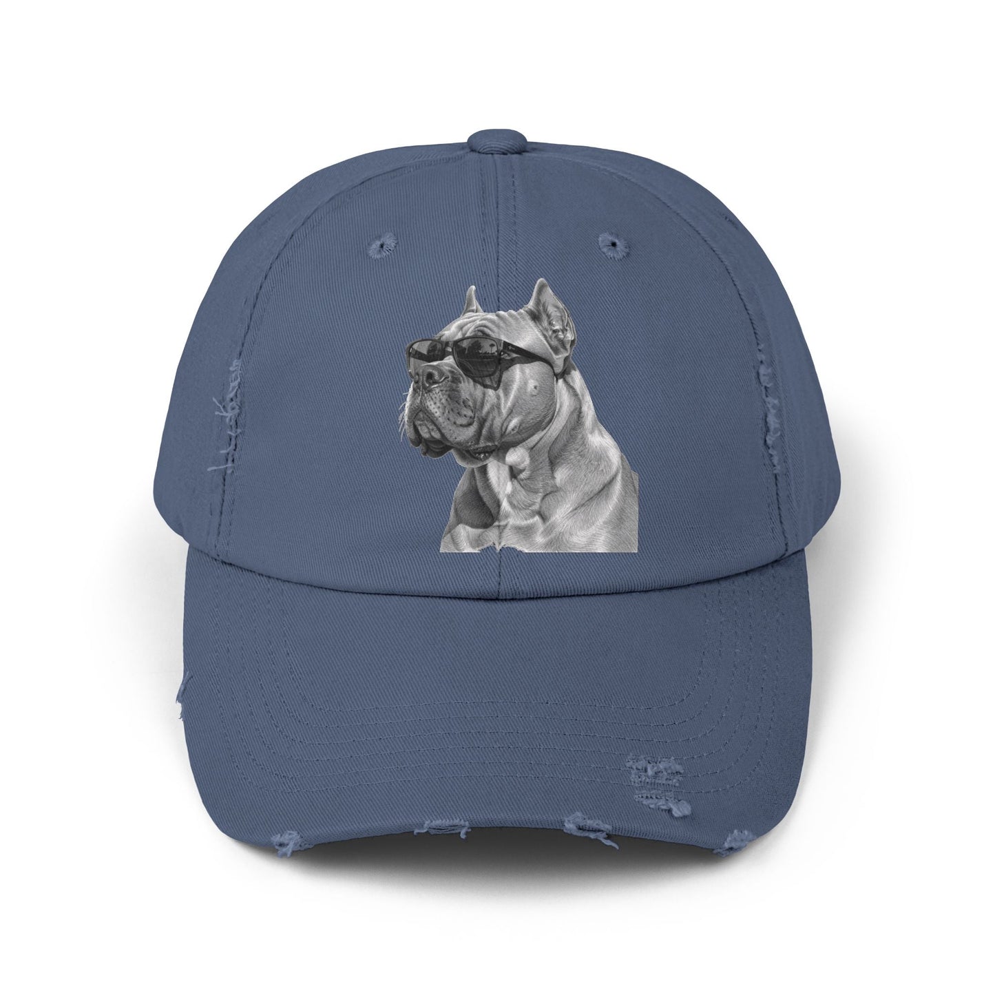 Fun Baseball Cap - Stylish Distressed Dog Cap