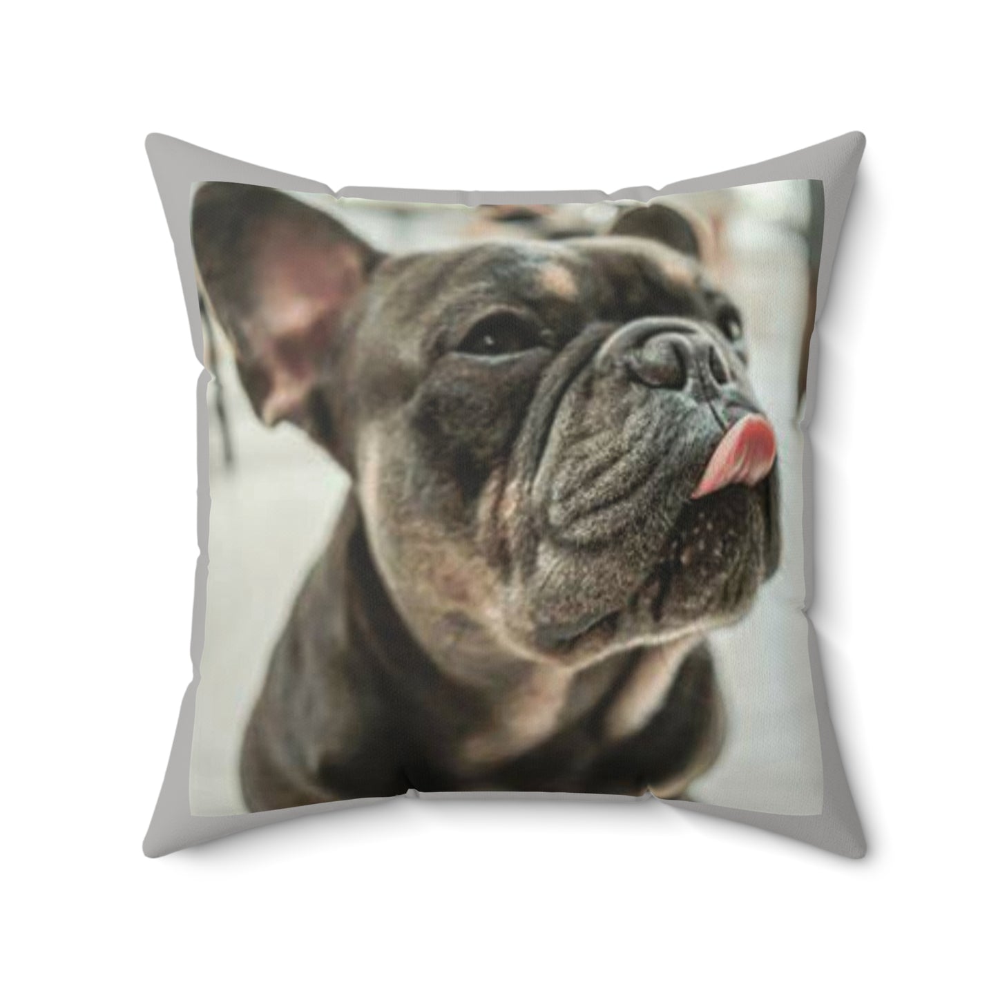 Frenchie Square Pillow