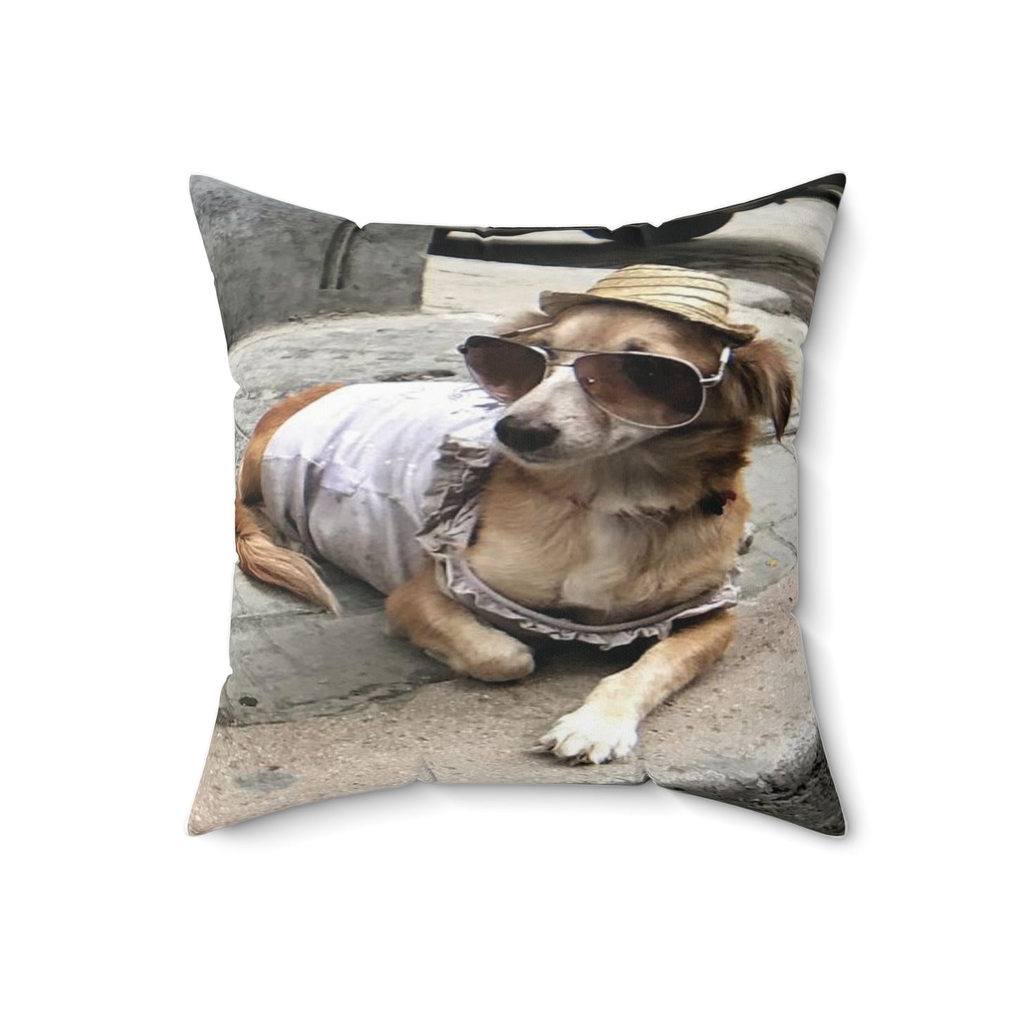 Cool Pup Square Pillow