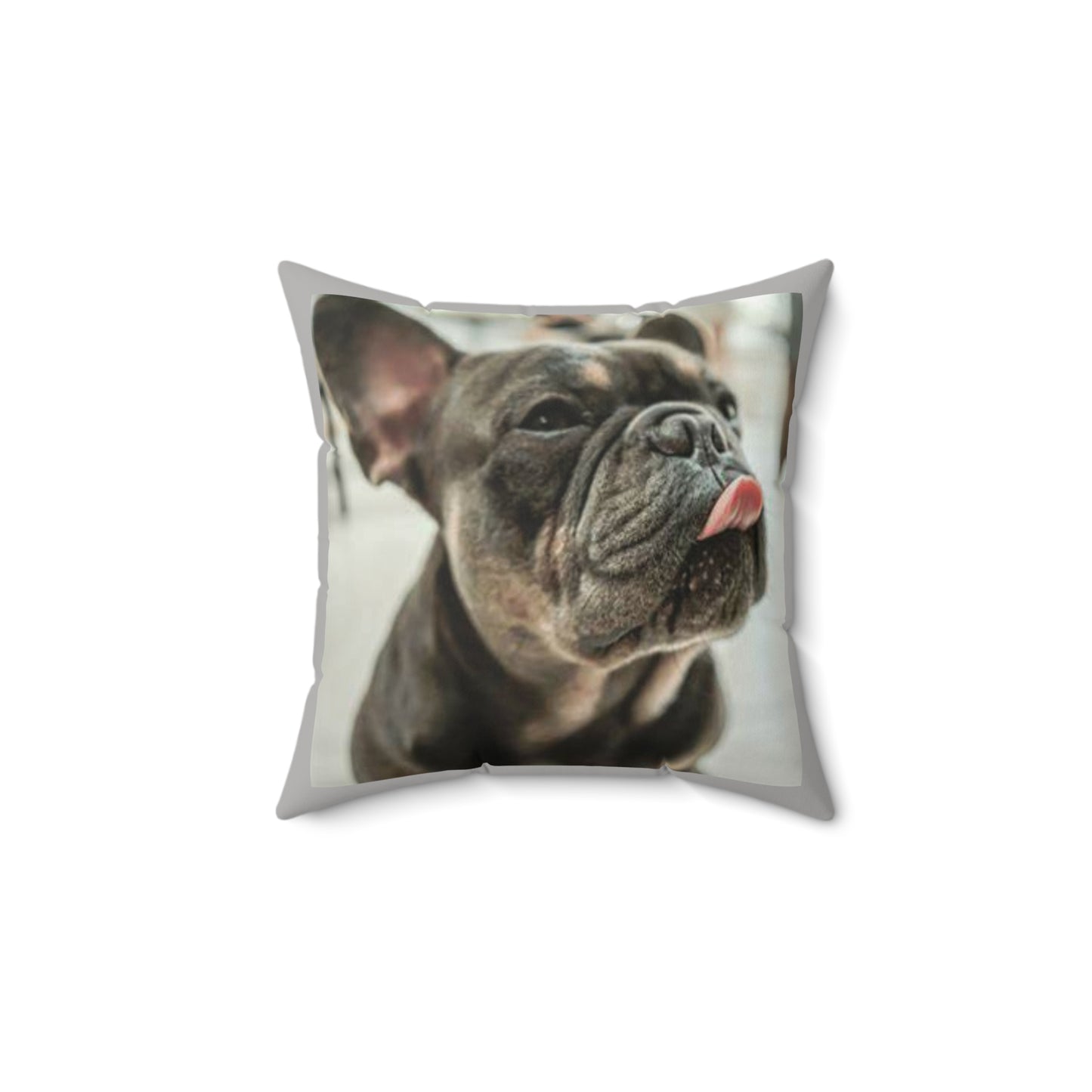 Frenchie Square Pillow