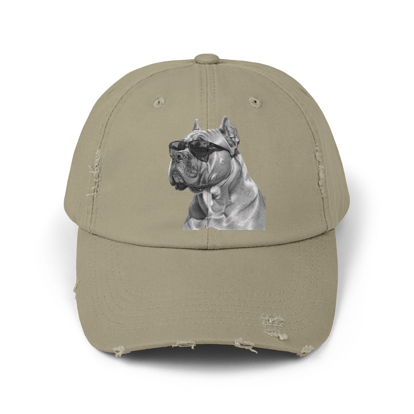 Fun Baseball Cap - Stylish Distressed Dog Cap