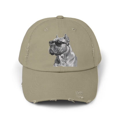 Fun Baseball Cap - Stylish Distressed Dog Cap