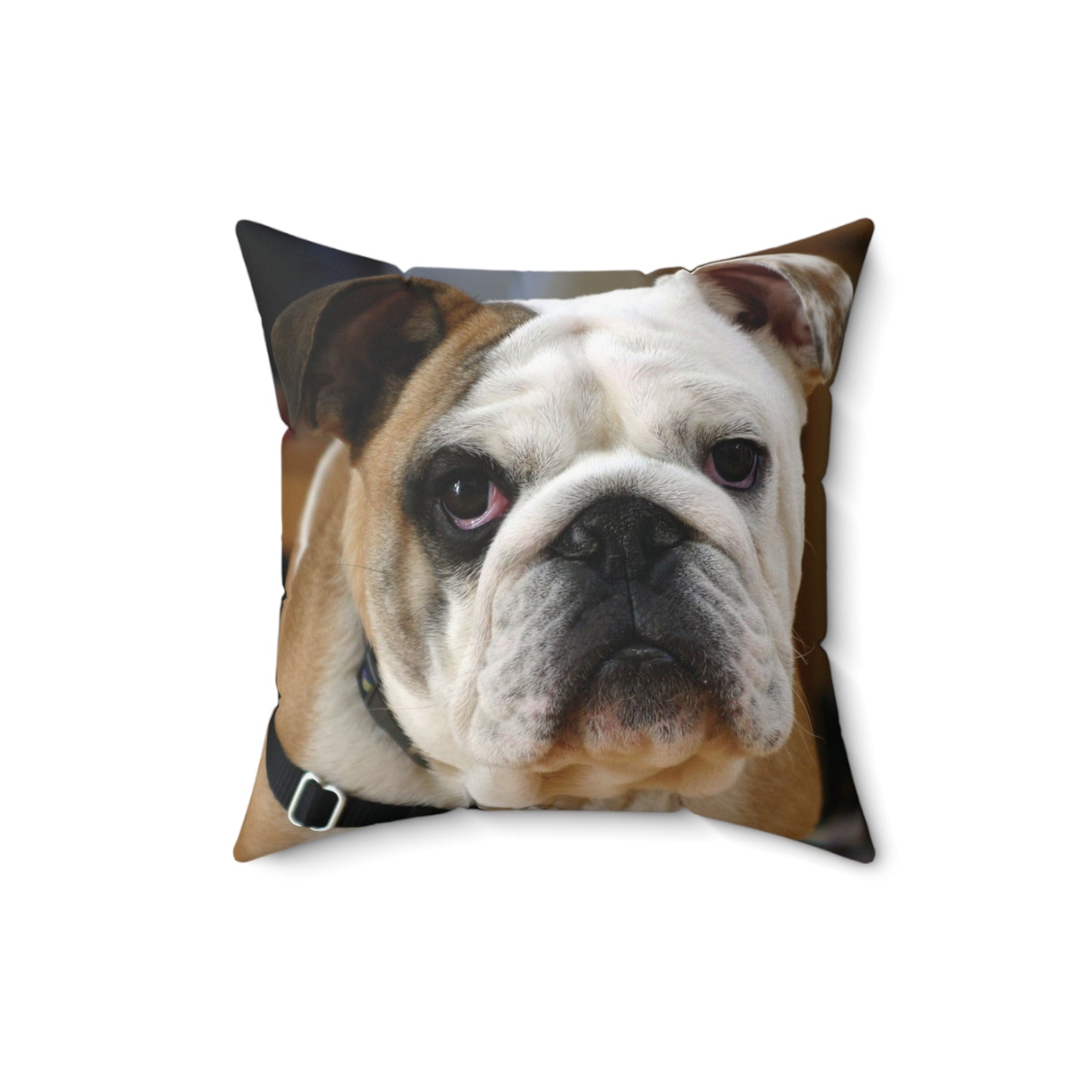 English Bull Dog Square Pillow