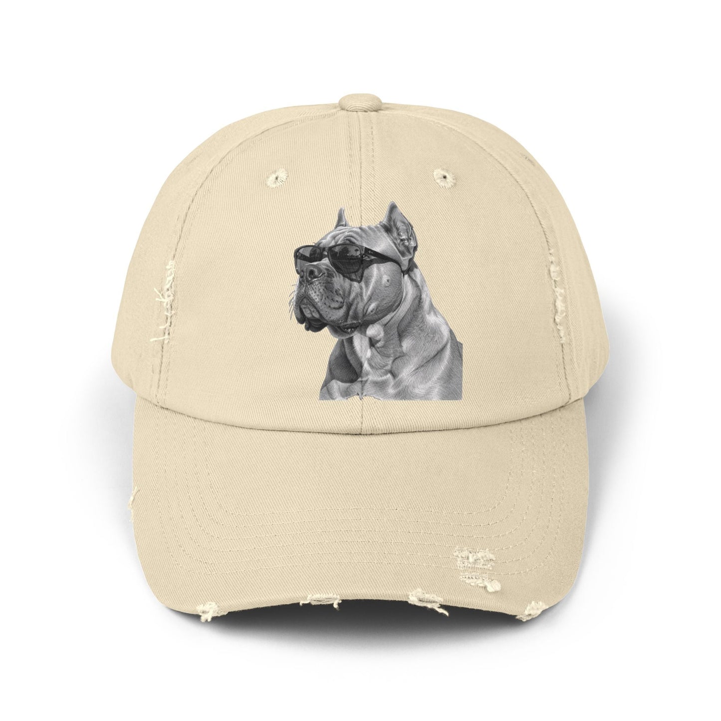 Fun Baseball Cap - Stylish Distressed Dog Cap