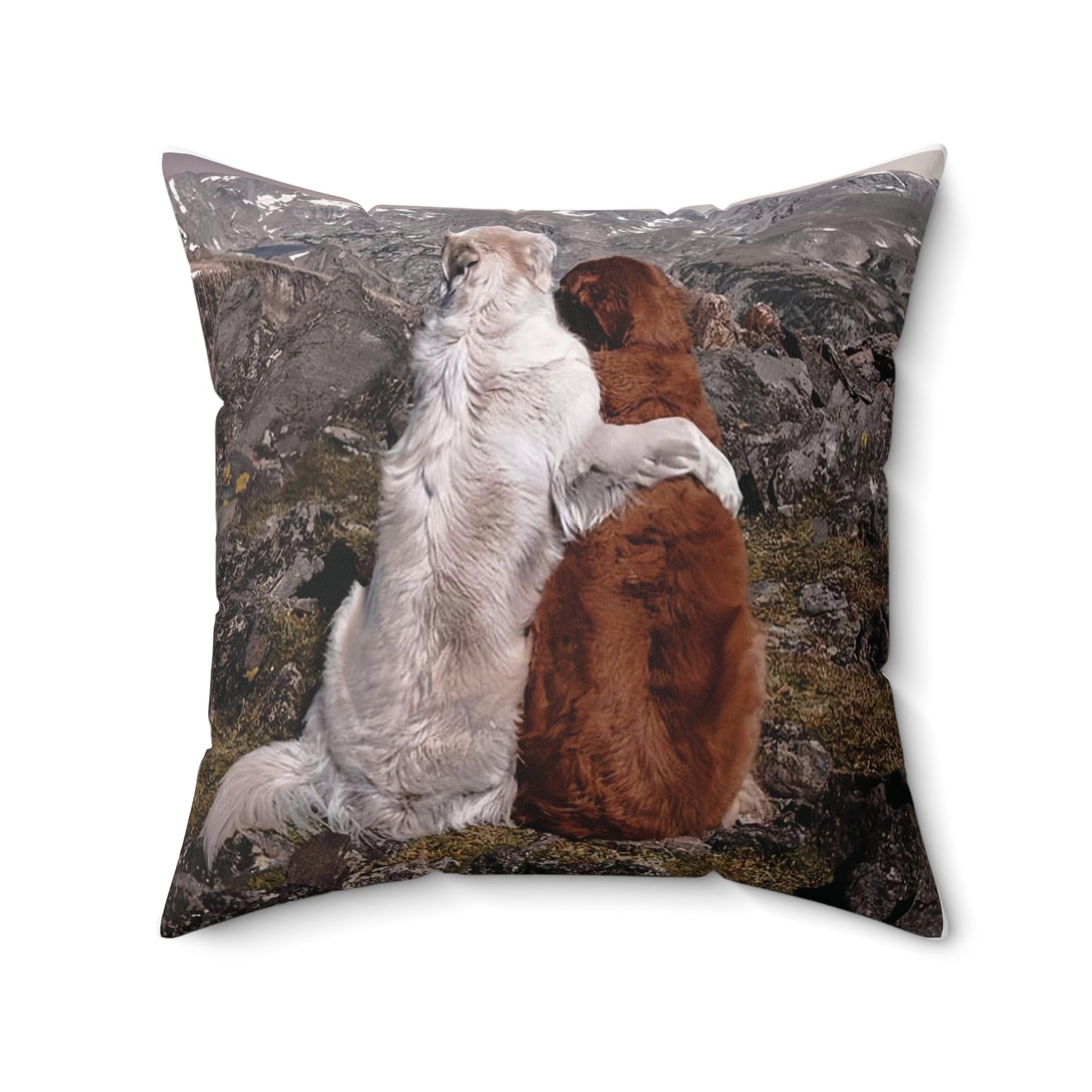 Best Friends Square Pillow