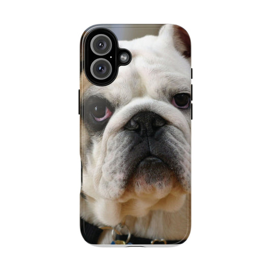 iPhone 16 English Bull Dog Tough Cases