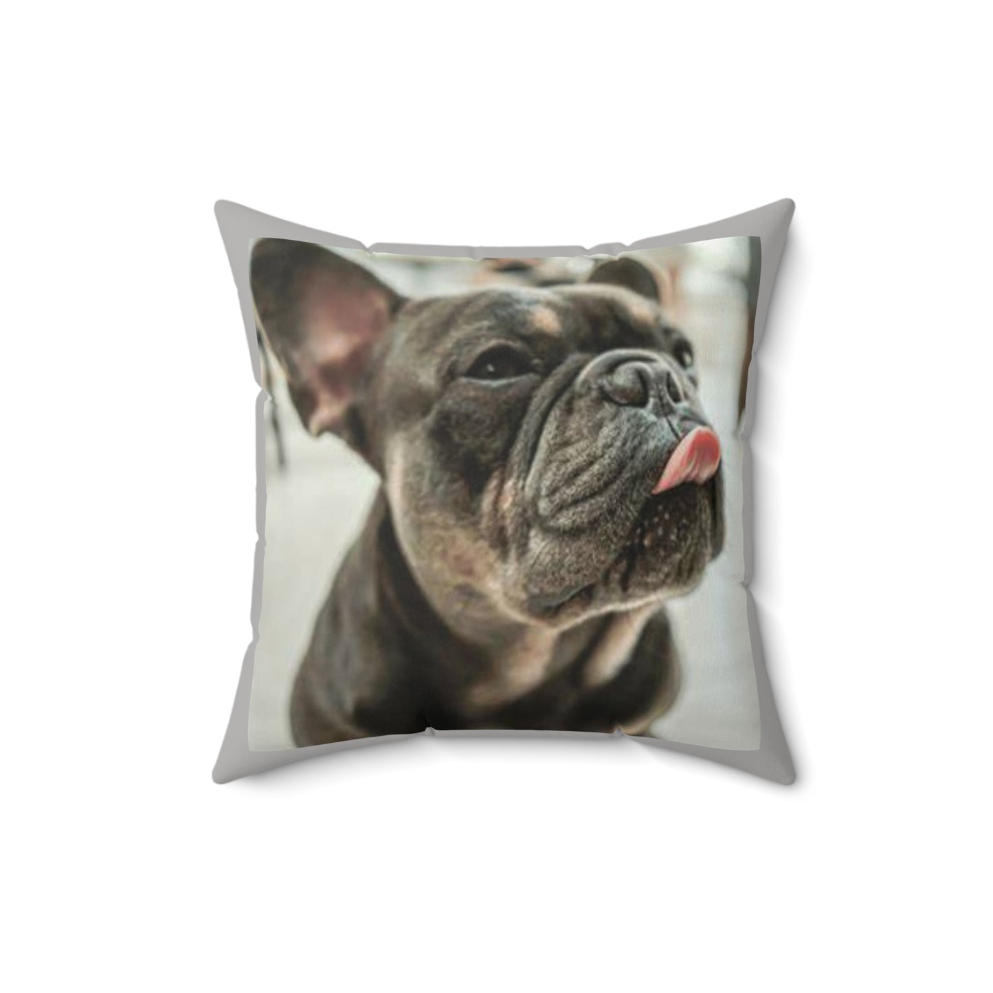 Frenchie Square Pillow