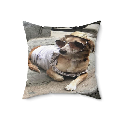 Cool Pup Square Pillow