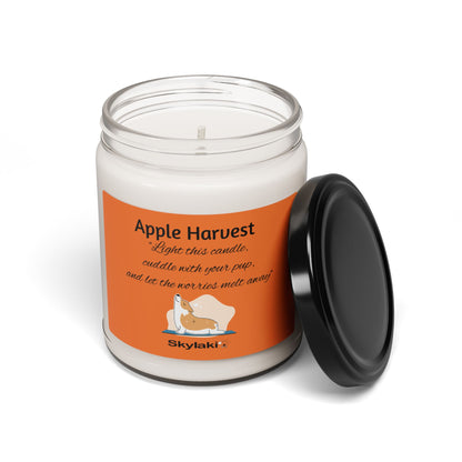 Apple Harvest Scented Soy Candle, 9oz