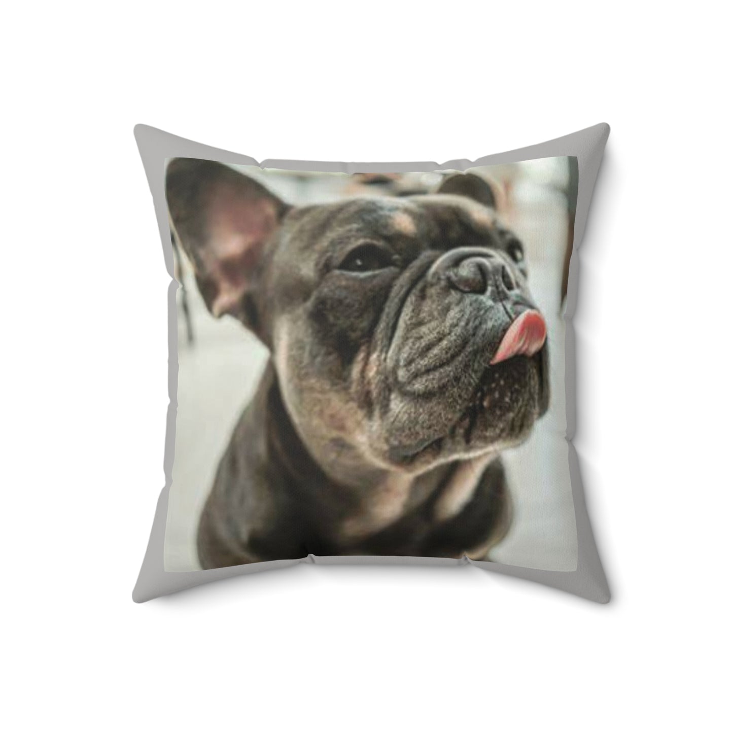 Frenchie Square Pillow