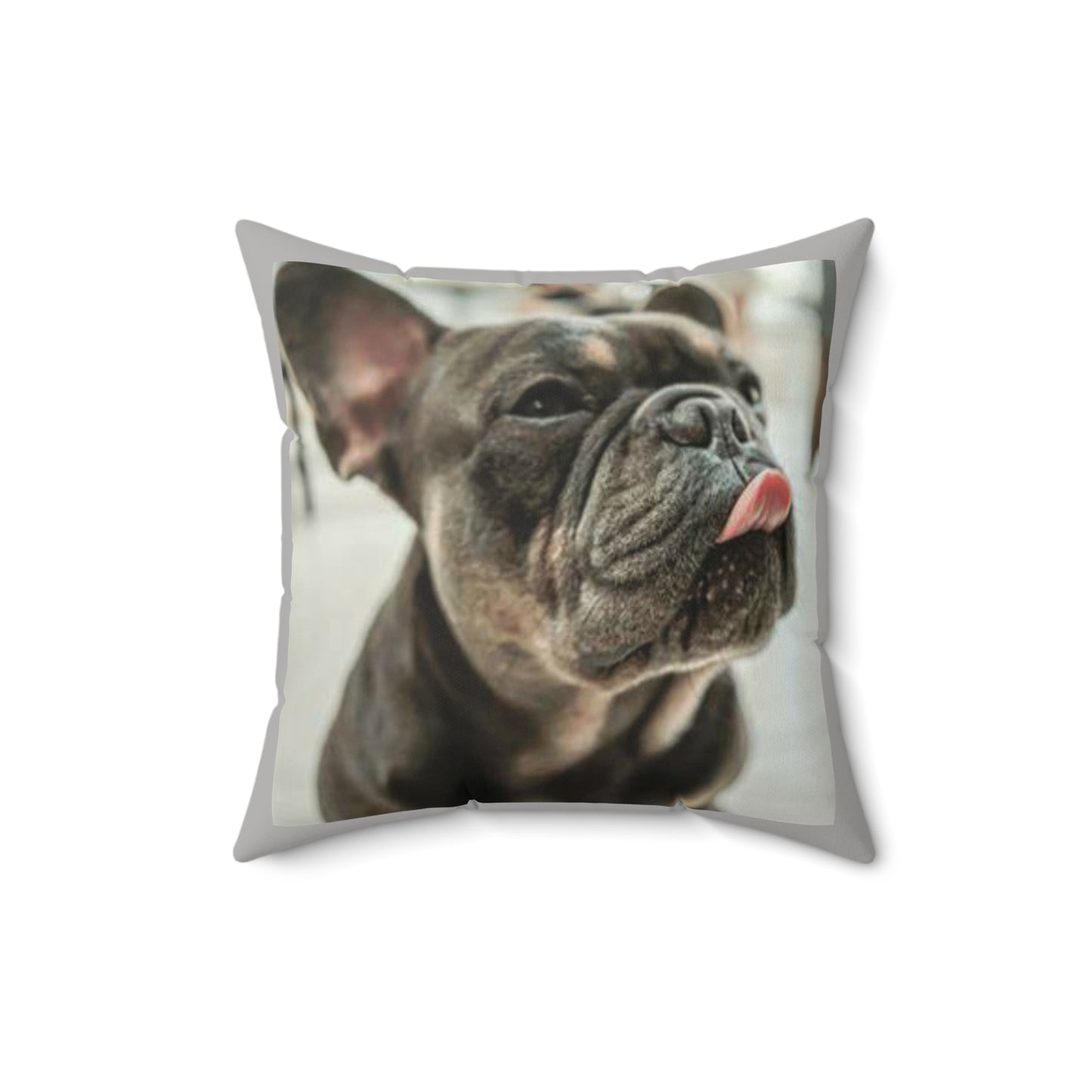 Frenchie Square Pillow