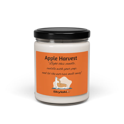 Apple Harvest Scented Soy Candle, 9oz