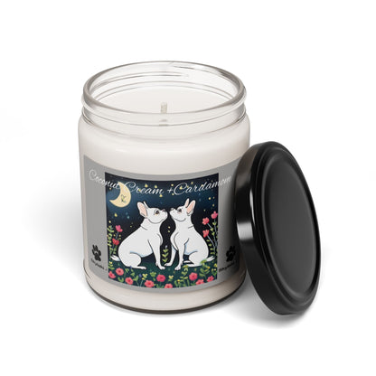 Coconut Cream + Cardamon Scented Soy Candle, 9oz