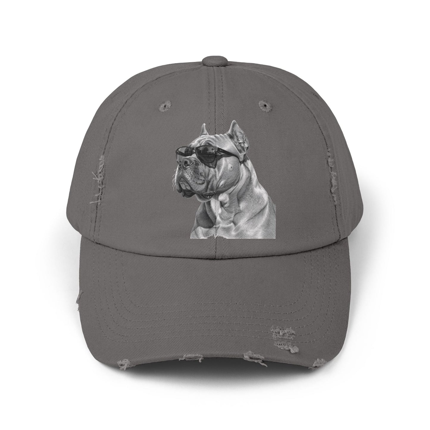 Fun Baseball Cap - Stylish Distressed Dog Cap