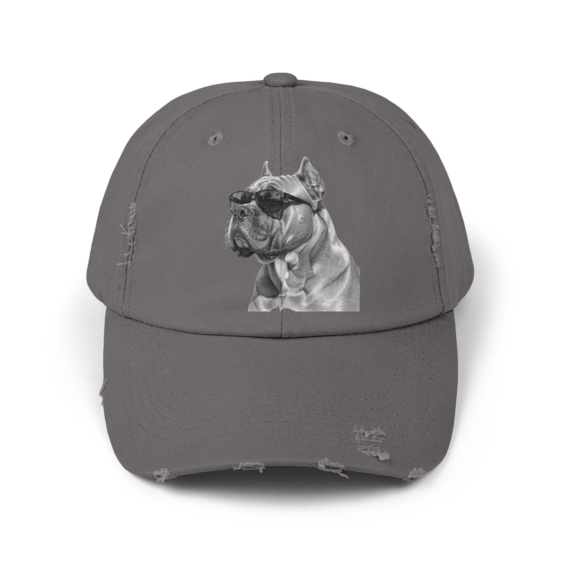 Fun Baseball Cap - Stylish Distressed Dog Cap
