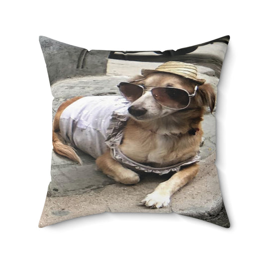 Cool Pup Square Pillow