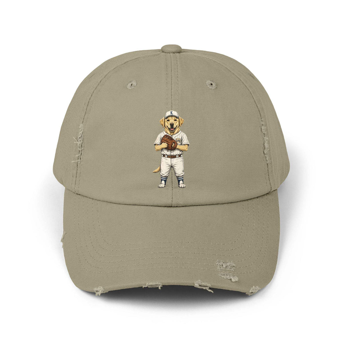 Born to fetch distressed baseball cap with vintage dog graphic