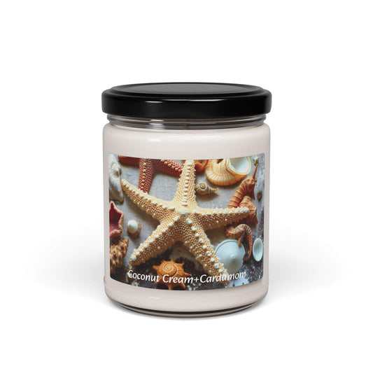 Scented Soy Candle in Coconut Cream and Cardamom in a reusable glass jar with coastal decor elements.