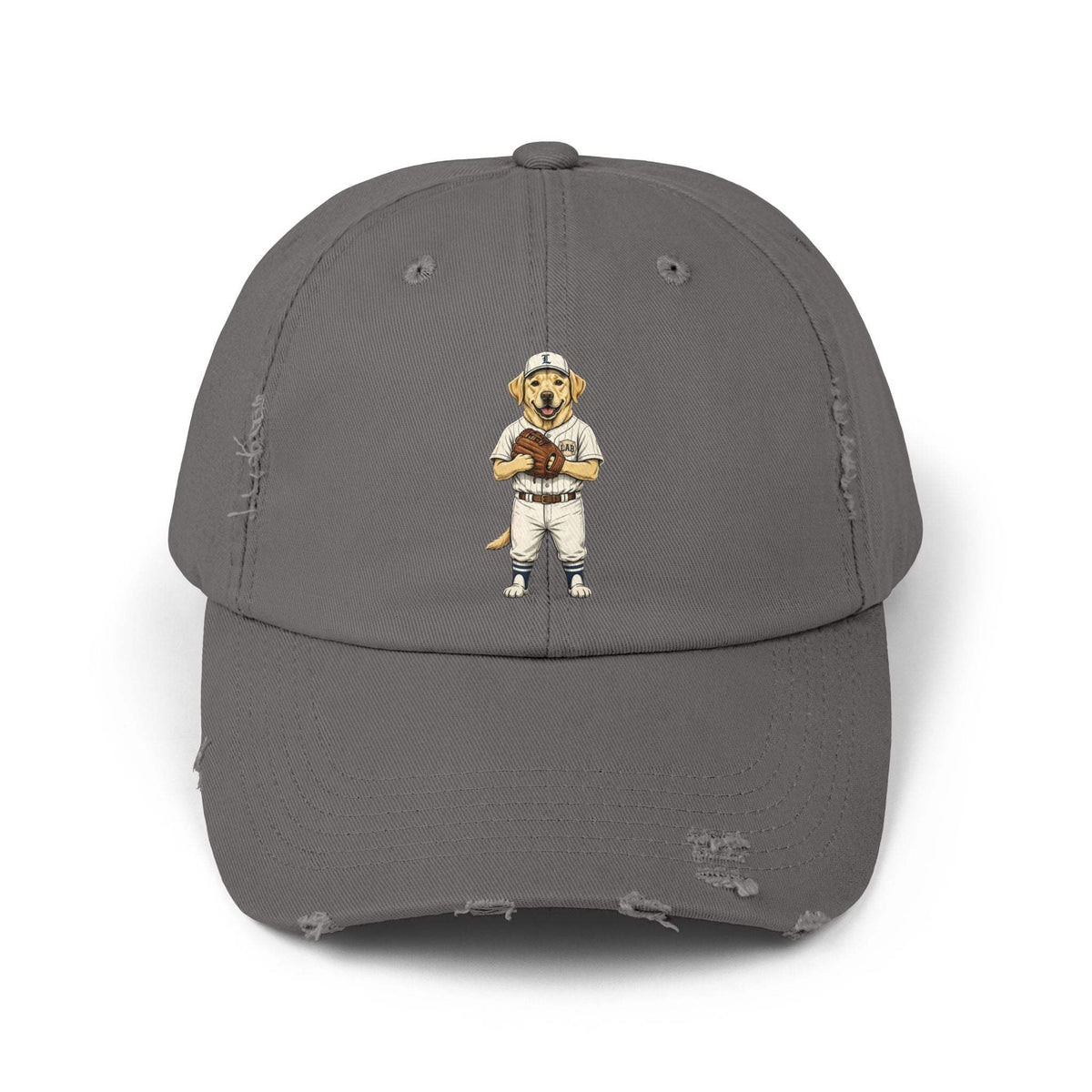 Born to fetch distressed baseball cap with vintage dog graphic by Skylaki
