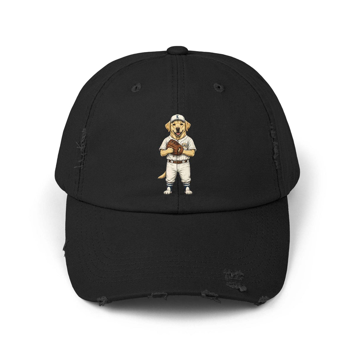 Born to fetch distressed baseball cap with vintage dog graphic by Skylaki
