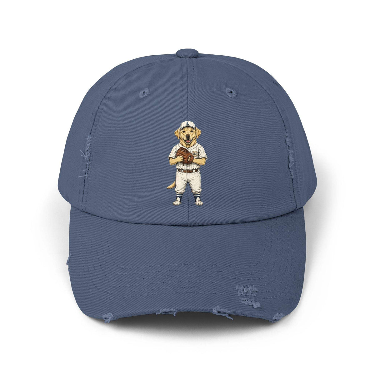 Born to fetch distressed baseball cap with vintage dog graphic