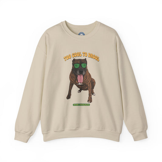 Too Cool To Drool Cane Corso sweatshirt with dog sunglasses print